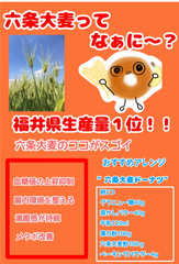 六条大麦ドーナツチラシ