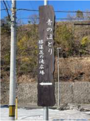 しらやま３