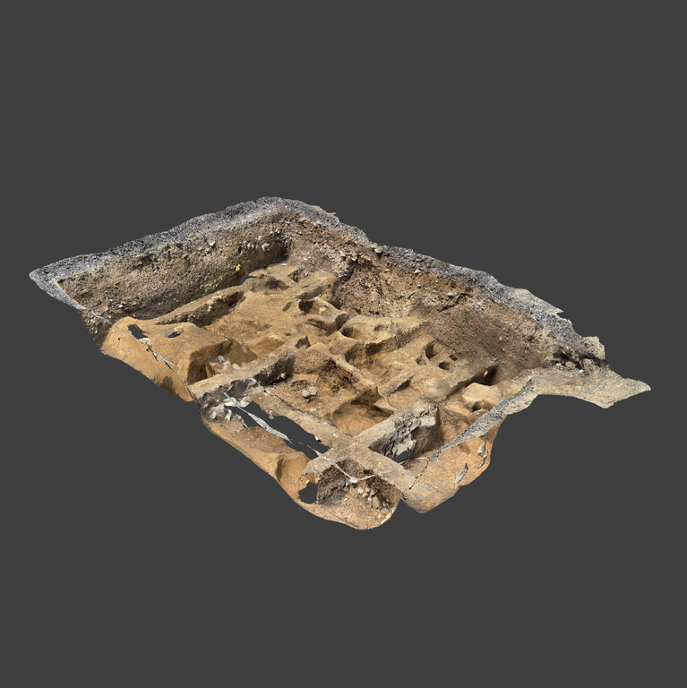 国府発掘プロジェクト2025