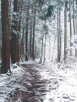 鬼ヶ岳登山道口