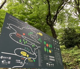 八ツ杉和ハーブロード2