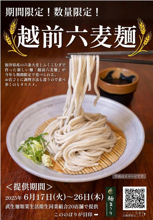 越前六麦麺チラシ