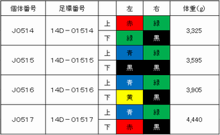 下中津原町足環結果