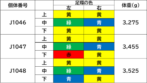 表3スクショ