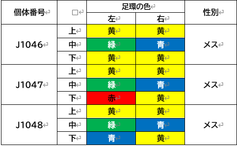 2スクショ