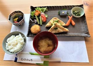 Vegan Shirayama-san's House