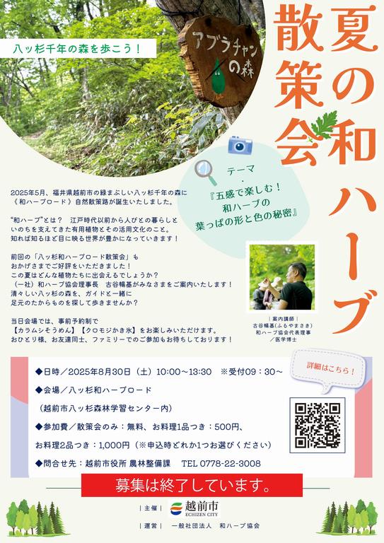 和ハーブちらし