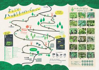 japaneseherbs2